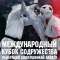 Запись трансляции Международного Кубка Содружества и боев Киокушин Профи