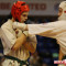 Финалы 5-го Первенства мира KWU по киокушинкай. Юноши 16-17 лет