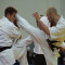 Лучшие нокауты в каратэ киокушинкай