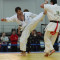 6-й Открытый Чемпионат России каратэ Кёкусин-Кан 2010