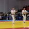 Выступление в ката групп победителей Кубка России 2016 по киокушинкай