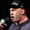 Стало известно, сколько зарабатывает Джо Роган в UFC