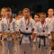 Результаты Чемпионата и Первенства ЮФО по киокусинкай