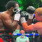 Александр Поветкин нокаутировал Диллиана Уайта