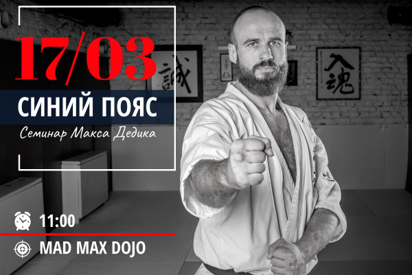 Семинар Макса Дедика на тему «Синий пояс»