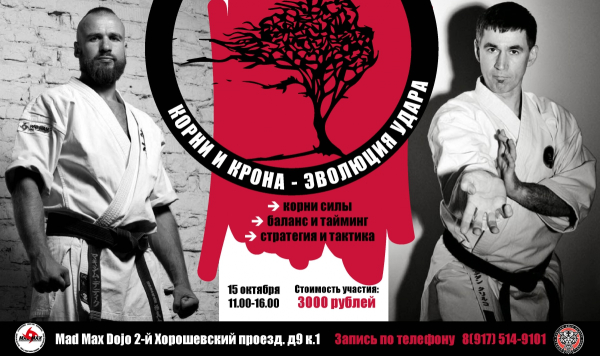 Семинар «Корни и Крона - эволюция удара»