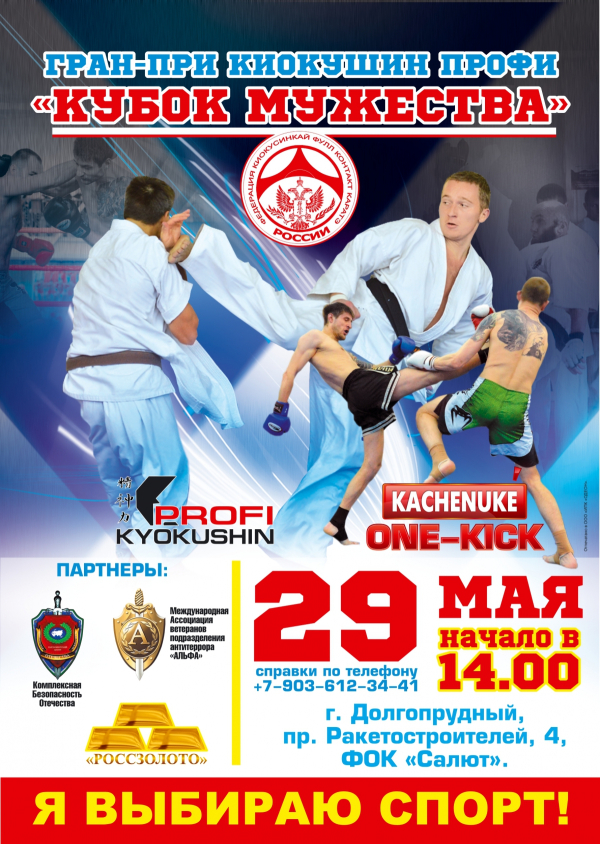 Гран-при Киокушин профи «Кубок Мужества»