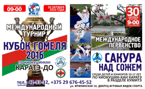 Международный турнир «Кубок  Гомеля» и Первенство «Сакура над Сожем» 2016