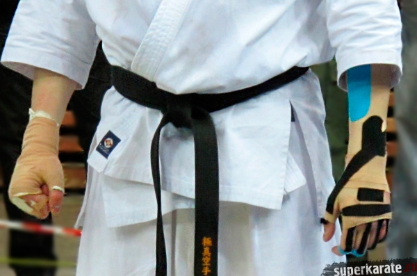 Профессиональная Лига киокушинкай Профессиональная Лига киокушинкай