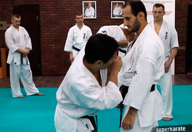 Сэнсей Рю Нарушима демонстрирует удар Ороши цуки