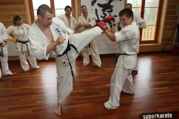 Сэнсей Виктор Карасюк