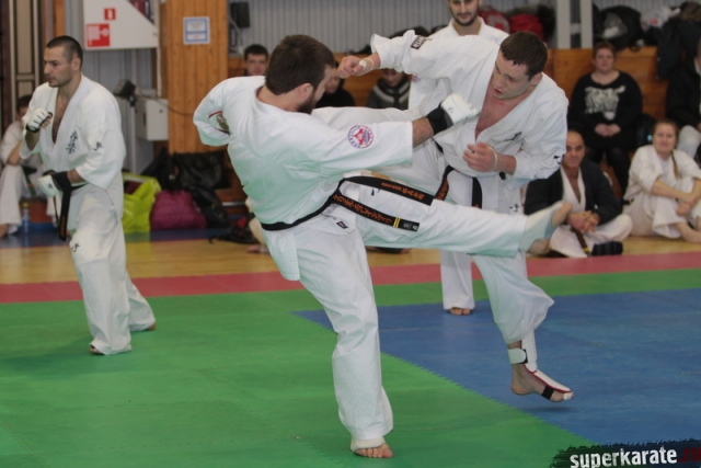 Романчев Станислав и Тариел Николеишвили (30 бой дан-теста) Романчев Станислав и Тариел Николеишвили (30 бой дан-теста)