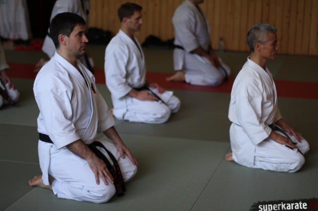 Заншин (Zanshin)