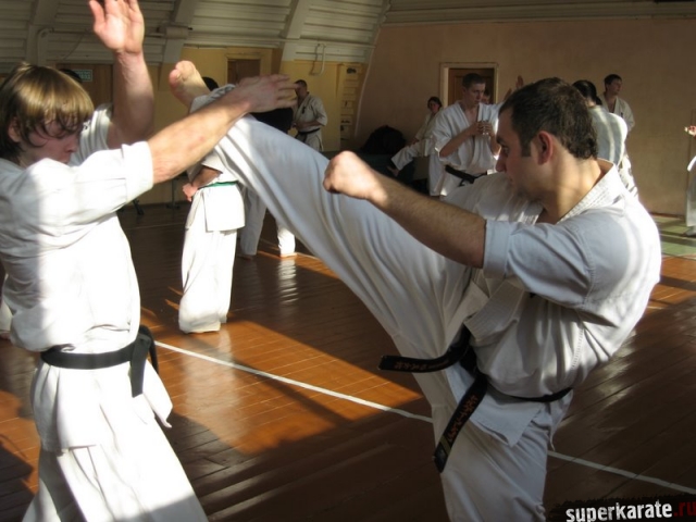 Маваши гери от сэнсея Сергея Плеханова