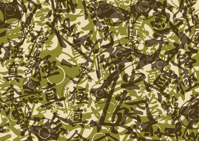 Камуфляж каратэ киокушинкай - обои для рабочего стола