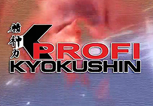 Kyokushin Profi