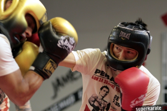 Бату Хасиков - Уоррен Стевелманс