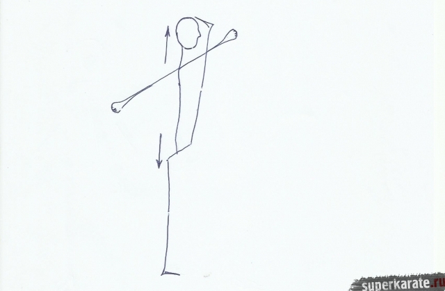 Спина при махе ногой Спина при махе ногой