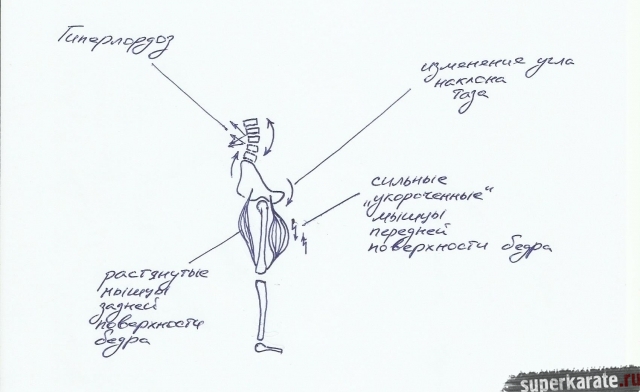 Спина в единоборствах Спина в единоборствах