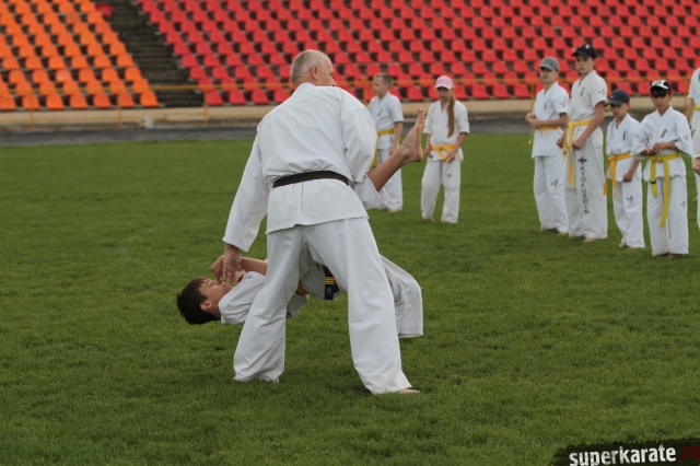 Сэнсей Владимир Чистяков Сэнсей Владимир Чистяков
