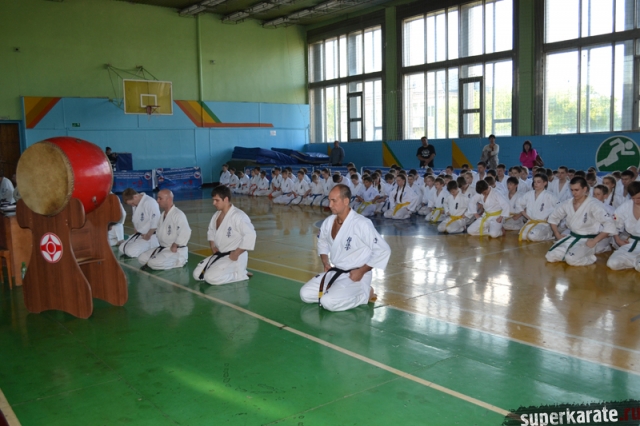 Амурский киокушин Амурский киокушин