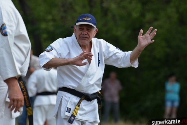 Ханси Стив Арнейл