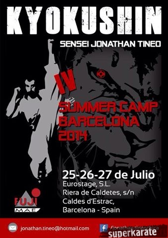 Сборы по кумитэ в Барселоне