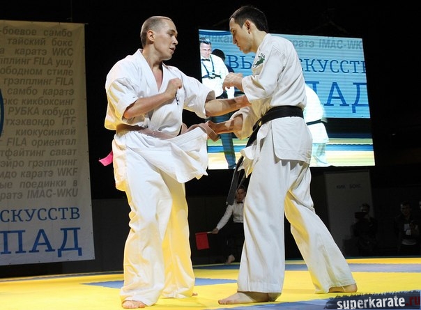 Александр Карпов и Ильдар Сафин