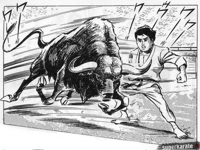 Бой Масутацу Ояма с быком (манга Каратэ Бака Итидай)