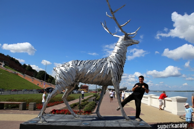 Шихан Казуми бьет нижегородского оленя Шихан Казуми бьет нижегородского оленя
