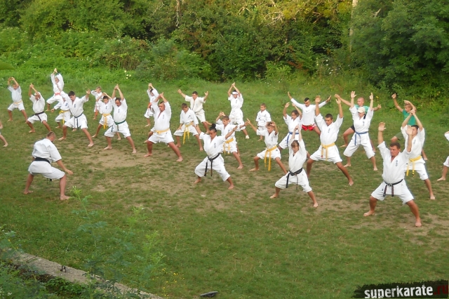 Сборы Макса Дедика Сборы Макса Дедика