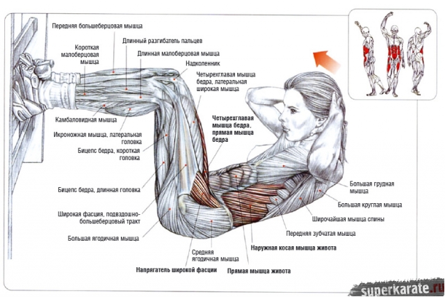 Тренировка пресса для бойца