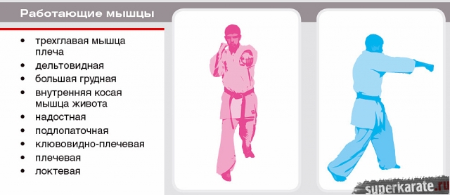 Атлас ударной техники бойца