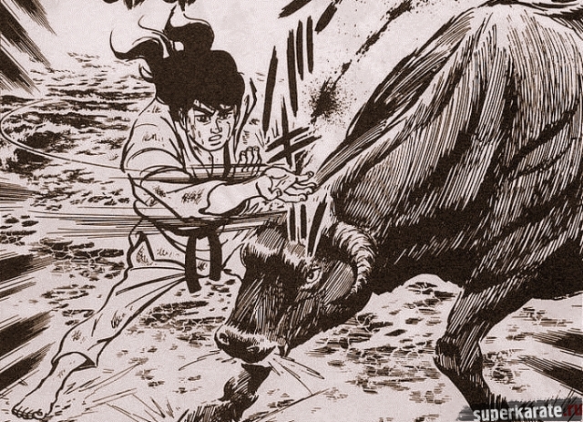 Бой Масутацу Ояма с быком