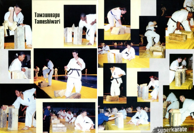 Открытый Кубок России 2000 по каратэ киокушинкай Открытый Кубок России 2000 по каратэ киокушинкай