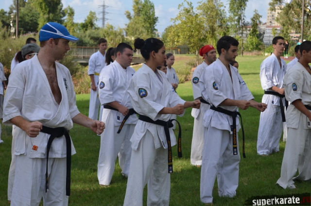 Сборы по кекусинкай в Израиле Сборы по кекусинкай в Израиле