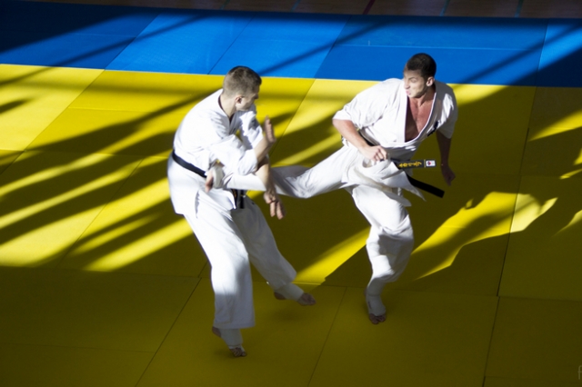 Бойцы на татами