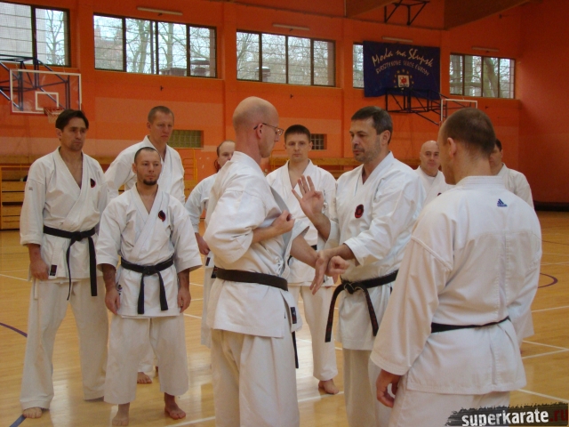 Каратэ годзю рю Каратэ годзю рю