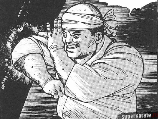 Masutatsu Oyama Масутацу Ояма (главы из книги)