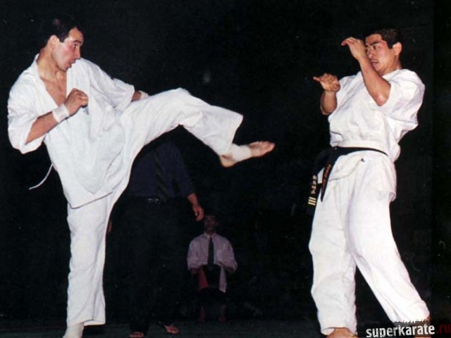 Анатолий Фесенко - Юи Сатоши Анатолий Фесенко - Юи Сатоши