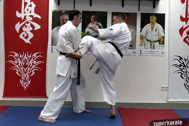 Маваши гери со средней дистанции Маваши гери со средней дистанции