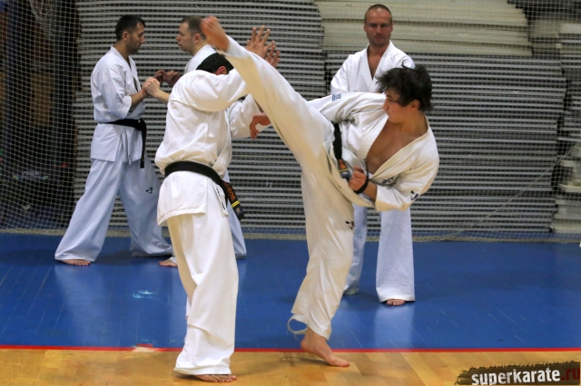 Удар уширо маваши гери Удар уширо маваши гери