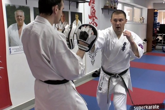 Отработка ударов на лапах Отработка ударов на лапах