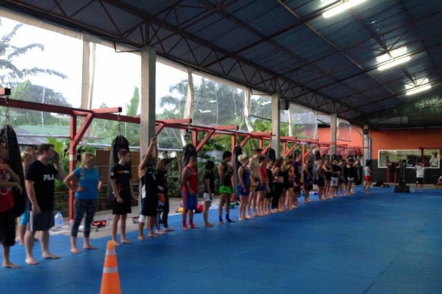 Фаранги в Тайгере