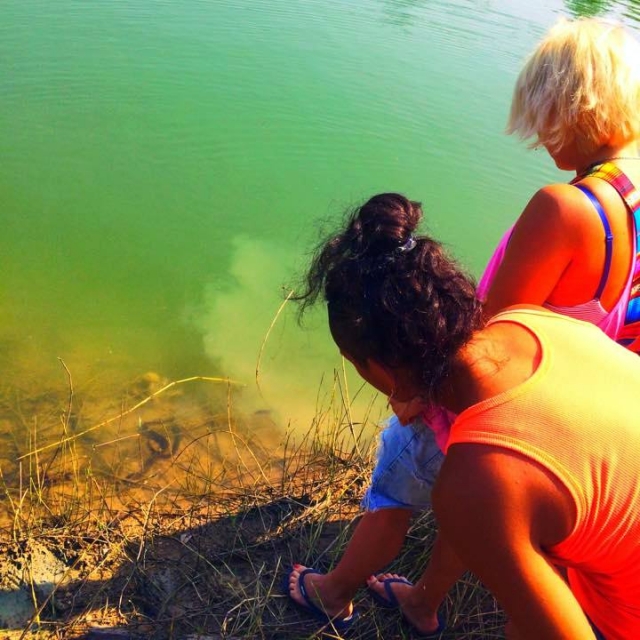 Таинство выпускания змей