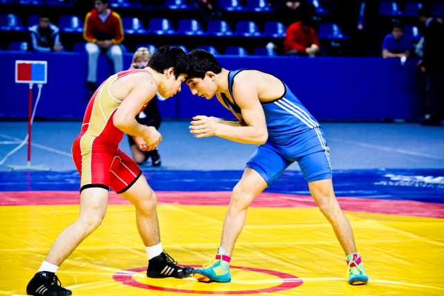 Открытый Всероссийский турнир по греко-римской борьбе памяти Гриценко