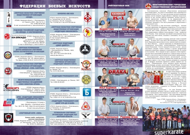 Профессиональные поединки