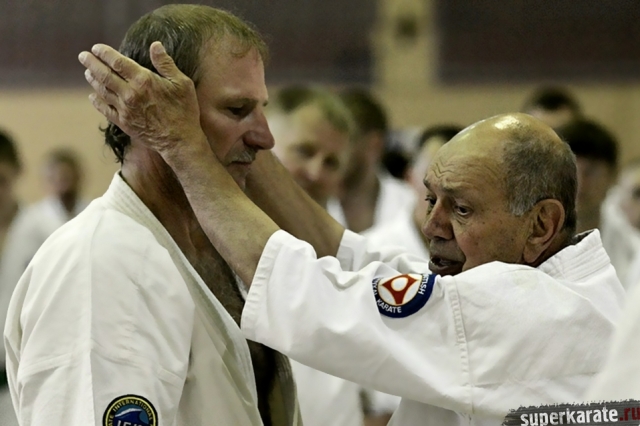 Стив Арнейл Стив Арнейл