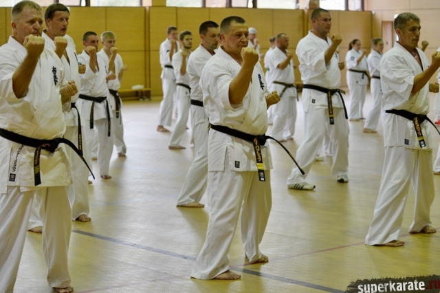 Участники Летней школы Федерации кекусинкай Участники Летней школы Федерации кекусинкай