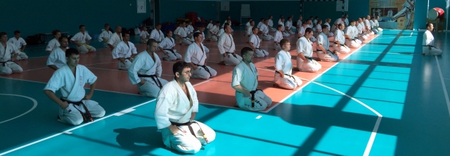 Шинкиокушин Шинкиокушин